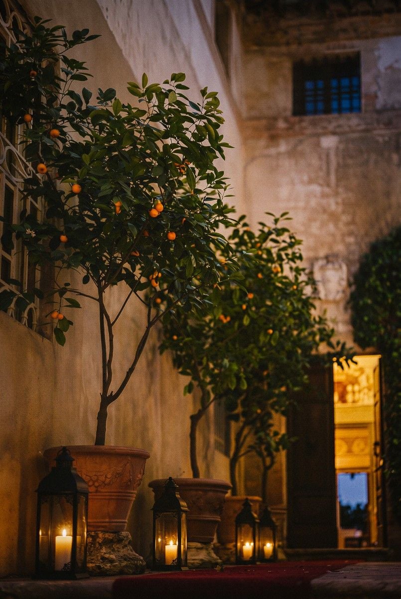 Elegant indoor setting with potted citrus trees and lanterns, creating a warm and inviting atmosphere for a wedding.