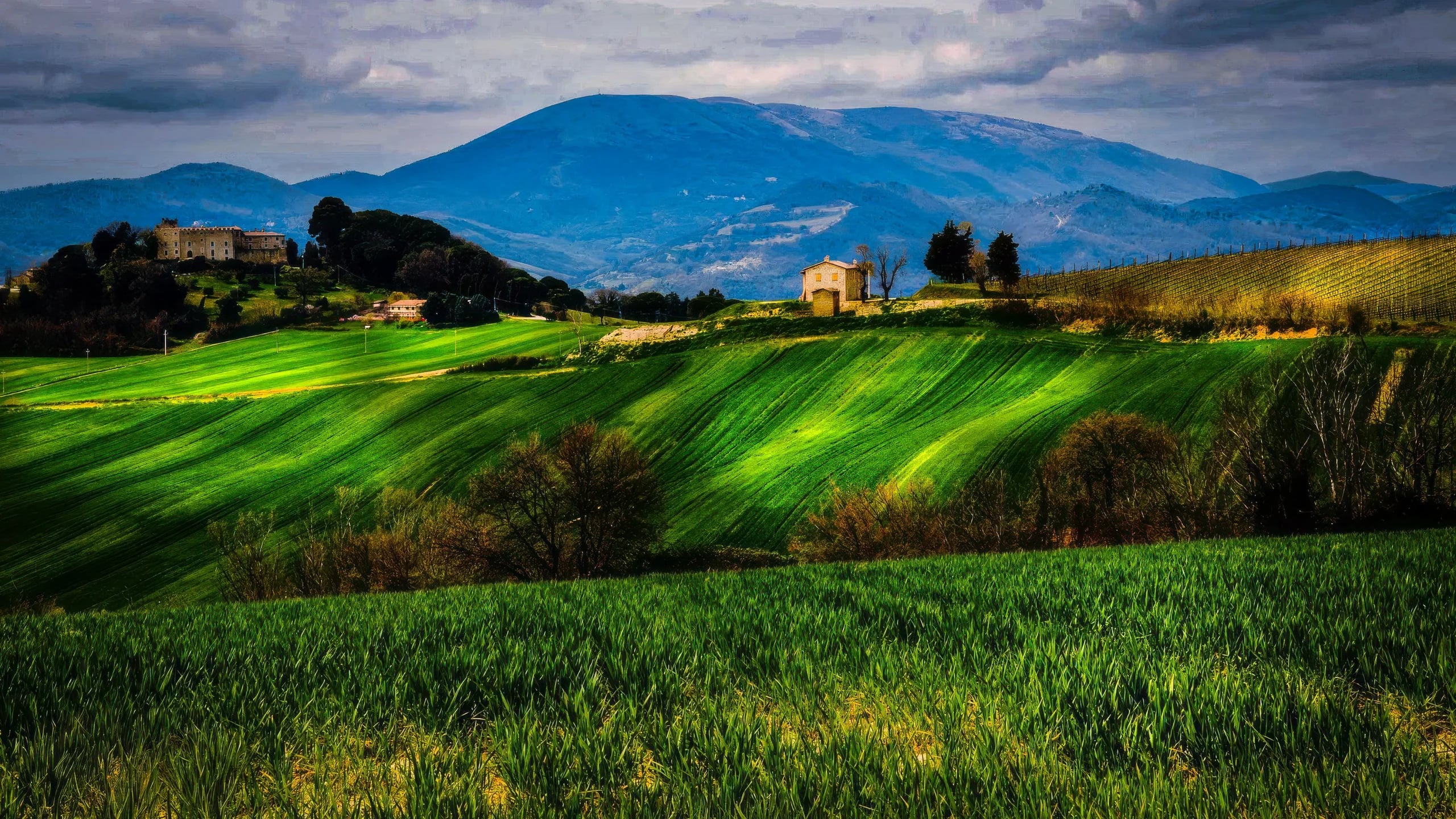 Rolling green hills of central Italy with a hilltop castle, a stone farmhouse and vineyards below a mountain ridge